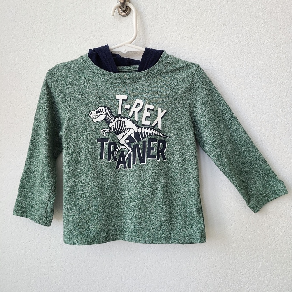 T-Rex Trainer Graphic Hoodie
